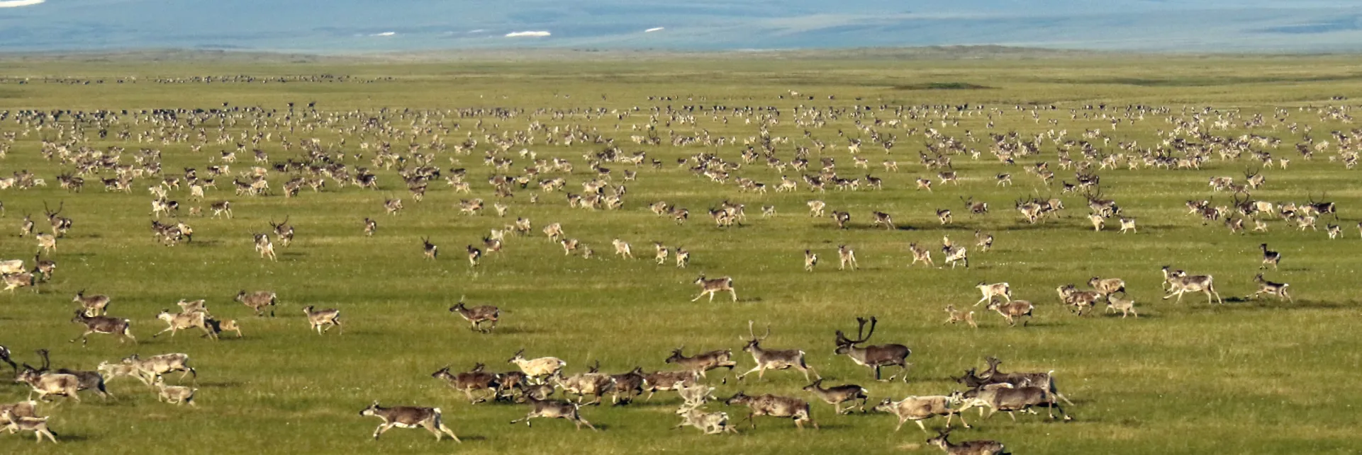 Cooperation with nature reserves